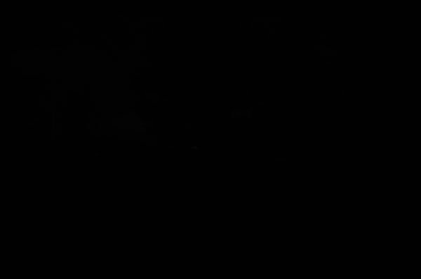 DSC_0200