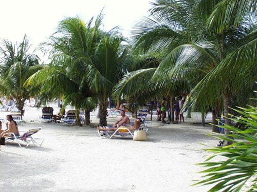 PIC00006