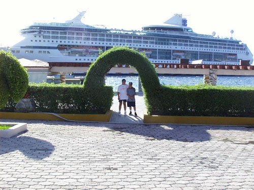 PIC00419